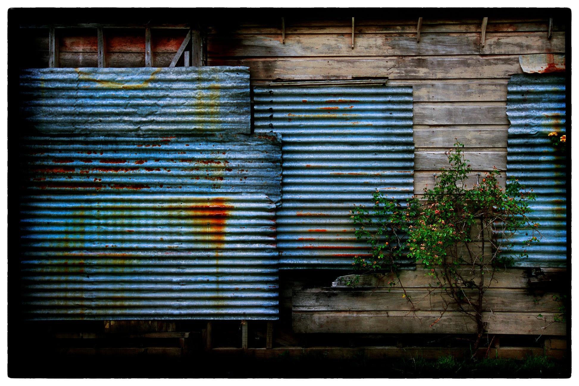 Rustic building with corrugated metal shutters and wooden walls.