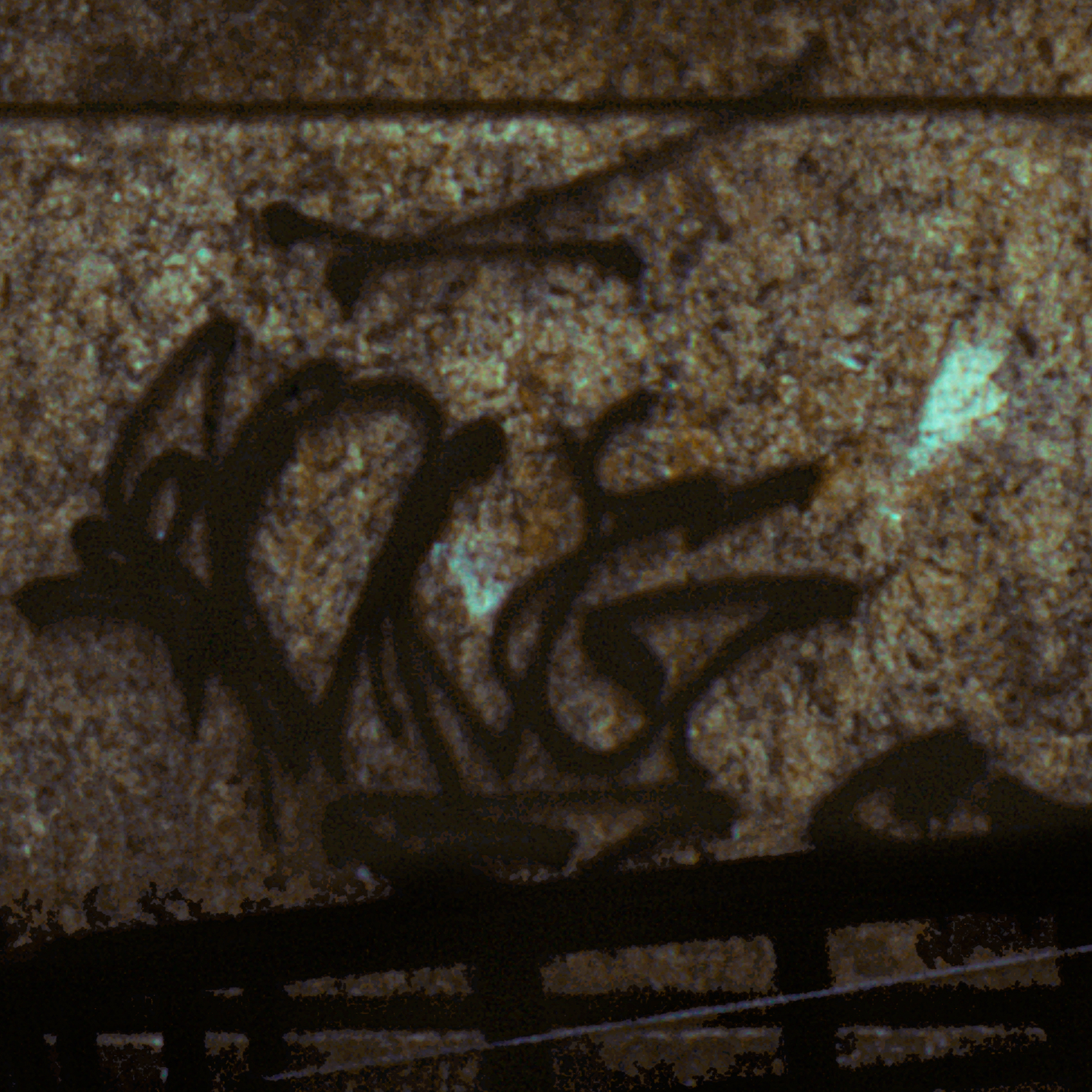 Close-up of a textured surface with dark plant shadows