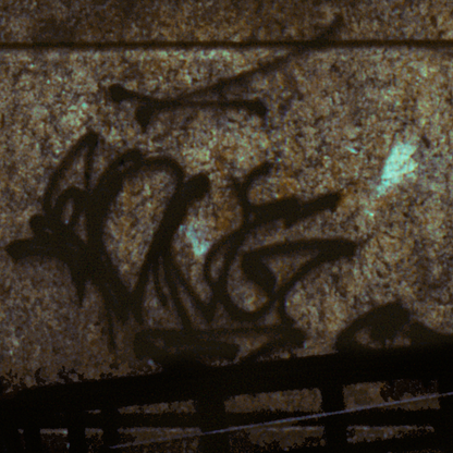 Close-up of a textured surface with dark plant shadows