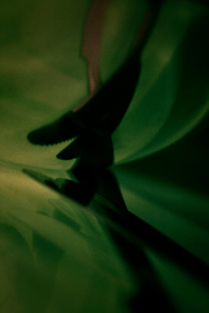 Warped reflection of objects creating abstract shapes, exploring how memories change over time