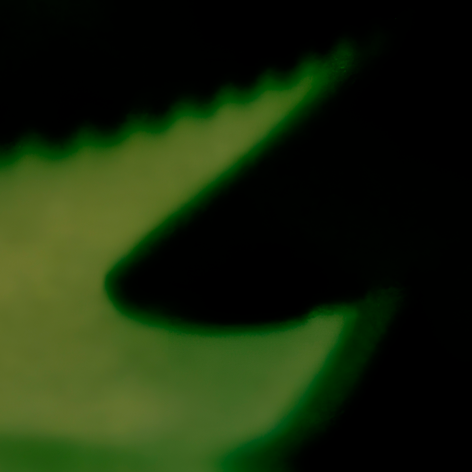 Close of of photograph detail of shadow on green background
