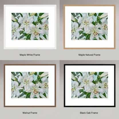 Four framing options for Floating Gardens Collector Edition prints — Maple White, Maple Natural, Walnut, and Black Oak Hamburg 20mm frames with white passe-partout