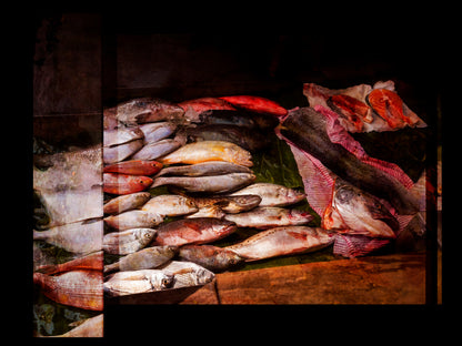 Multiple exposures of Assorted fresh fish on a wooden surface with a dark background in Taiwan