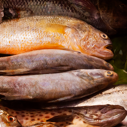 Detail of Made in Taiwan #03 showing fish from a market