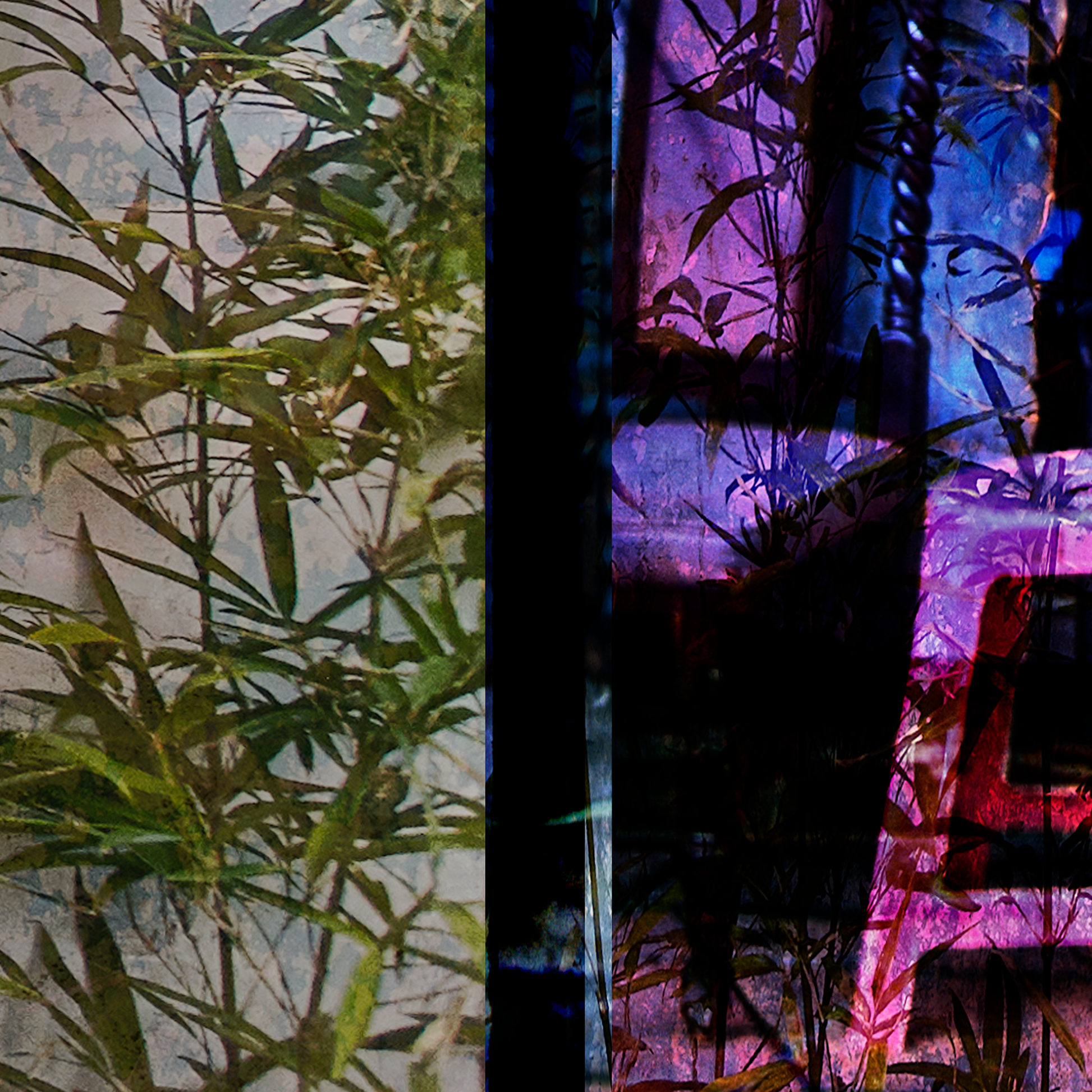 close up of detail of photograph of overlapping images including plants