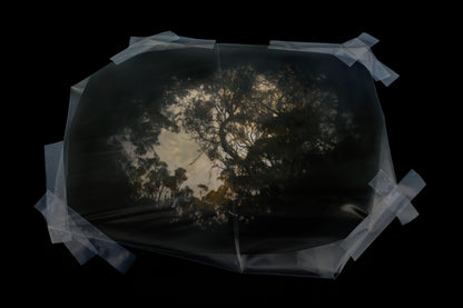 forest scene reflected in a puddle and wrapped in plastic