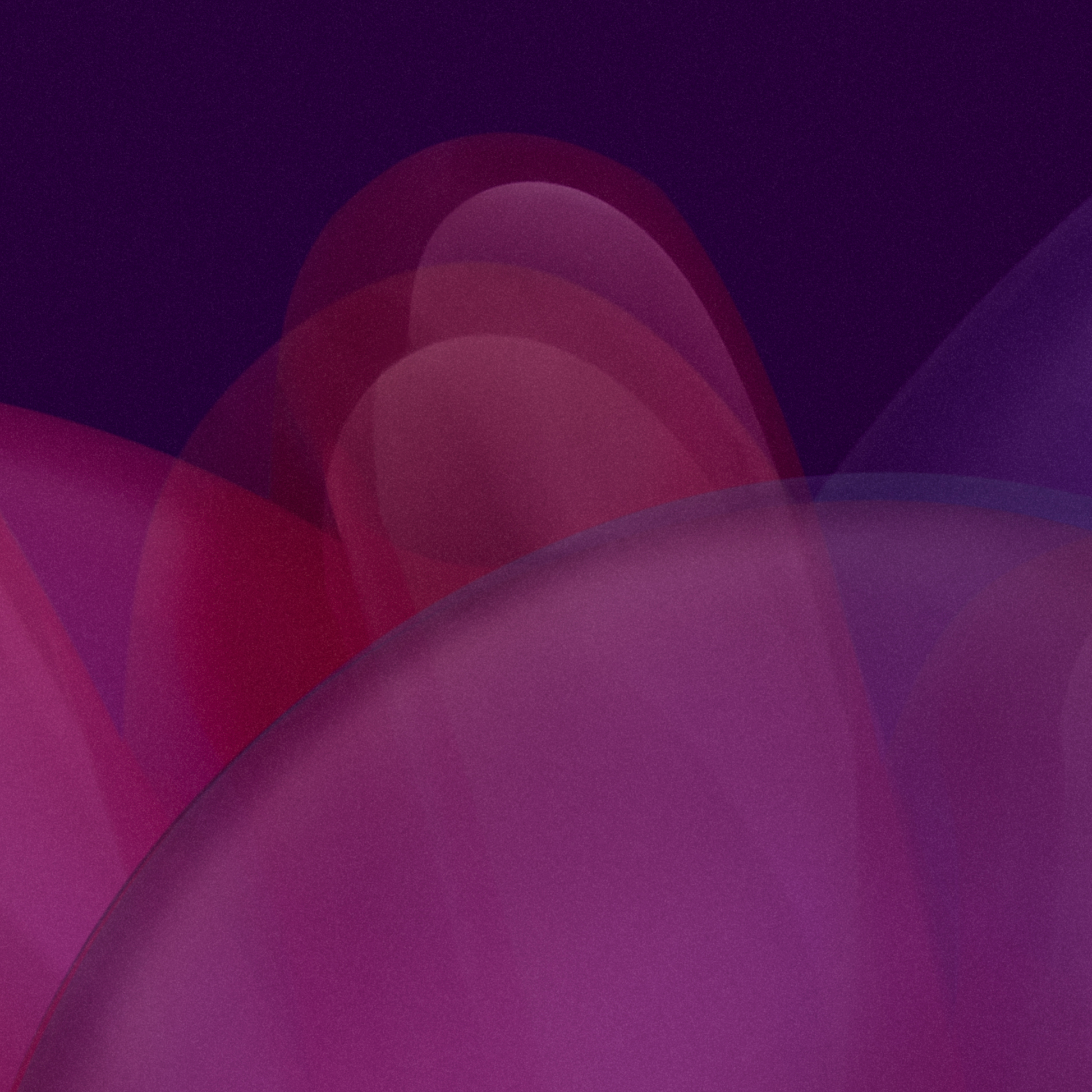 detail of photograph showing purple abstract shapes